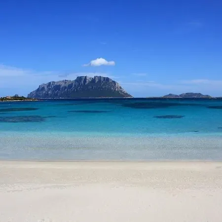 Nautilus, In Front Of Tavolara Island