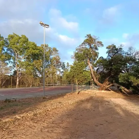 Nautilus, In Front Of Tavolara Island *