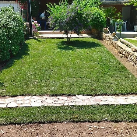 Nautilus, In Front Of Tavolara Island Porto Istana