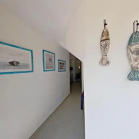 Nautilus, In Front Of Tavolara Island