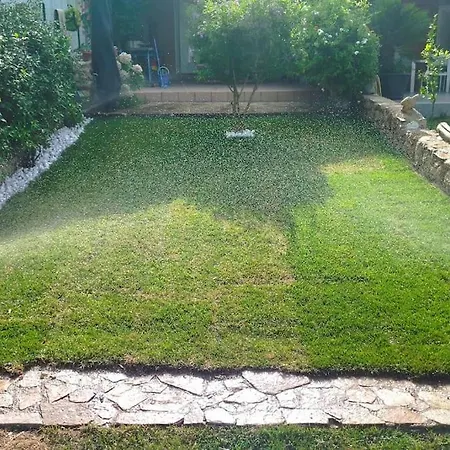 Nautilus, In Front Of Tavolara Island * Porto Istana