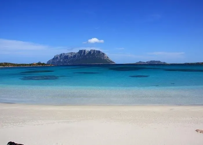 Nautilus, In Front Of Tavolara Island